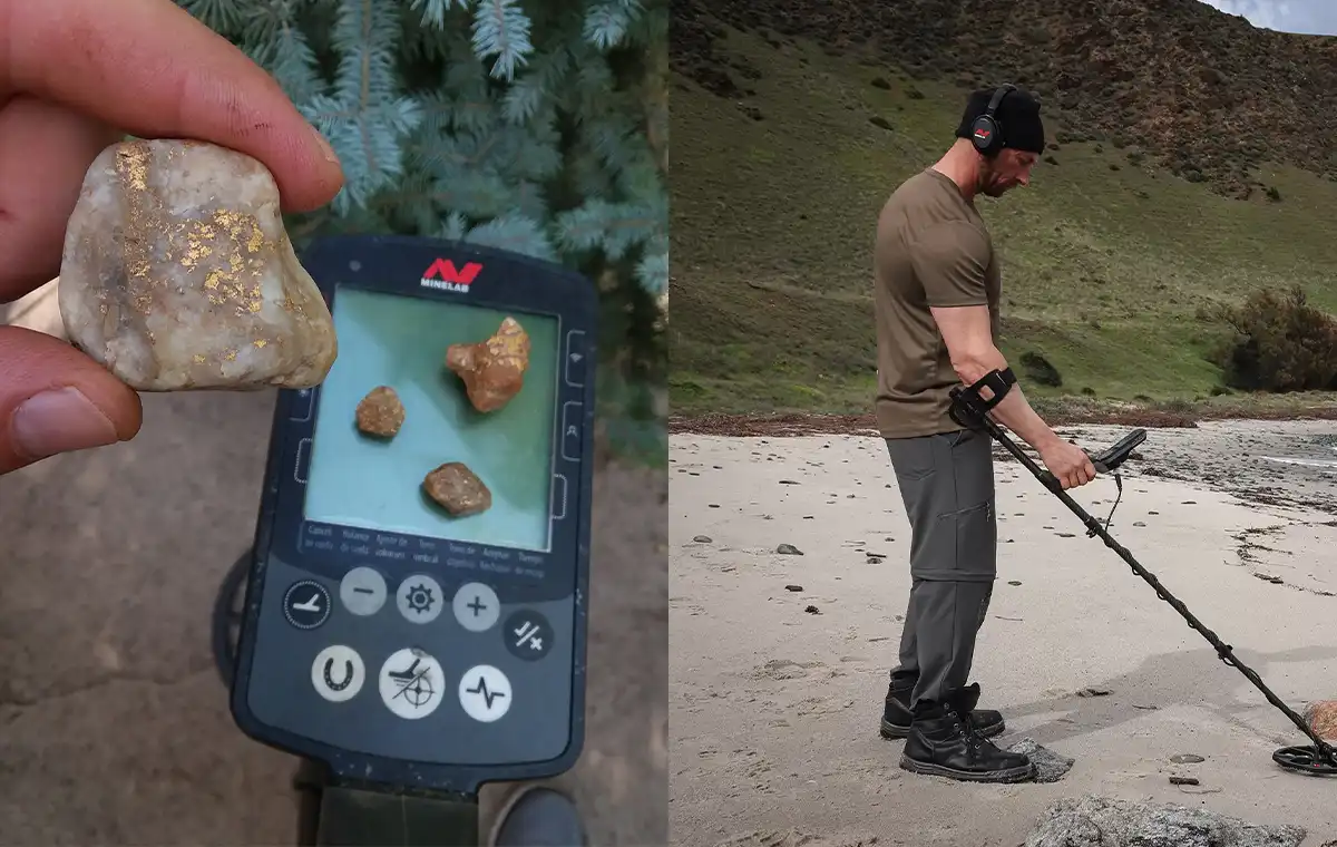 تست فلزیاب اکوناکس 800